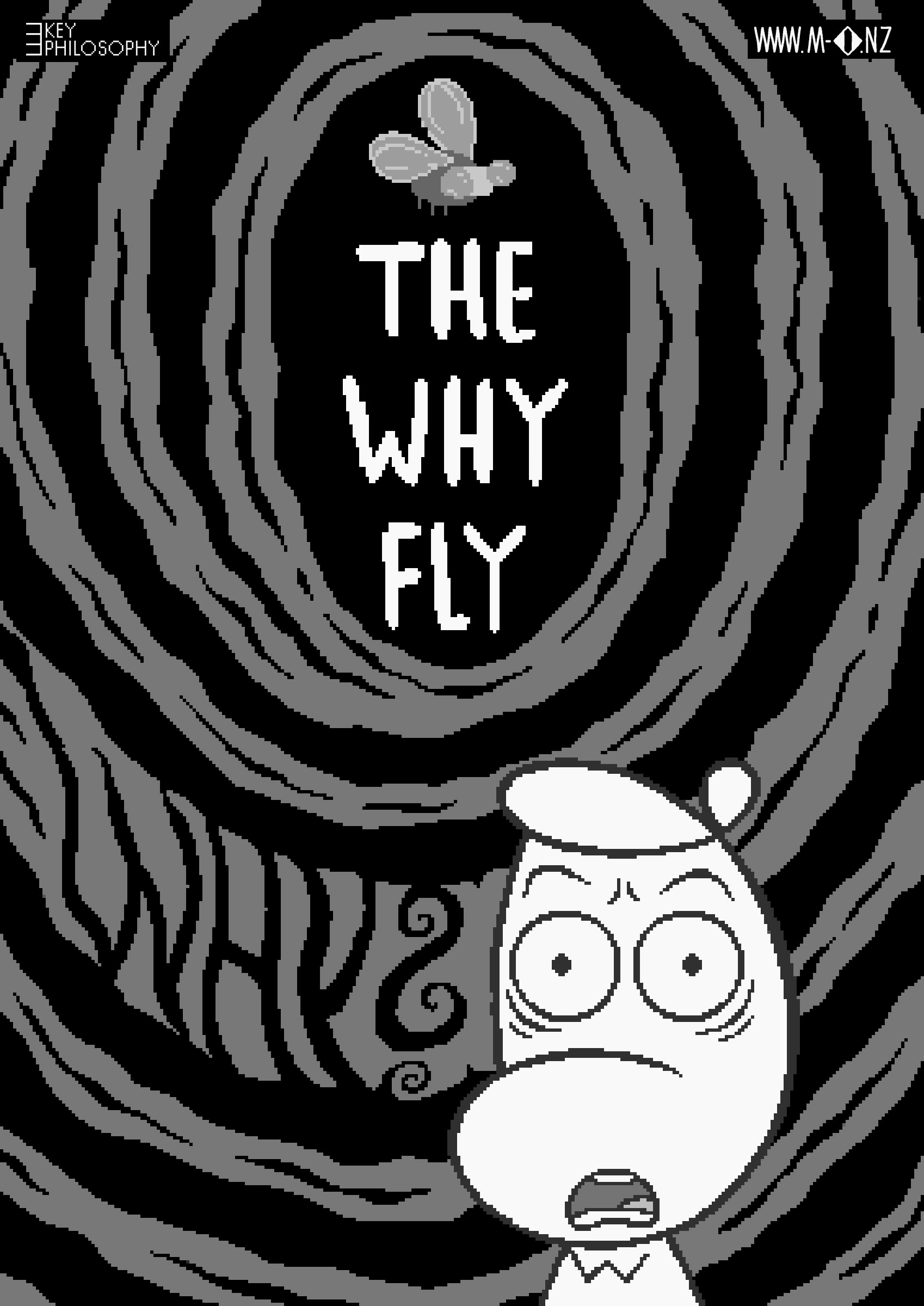The Why Fly