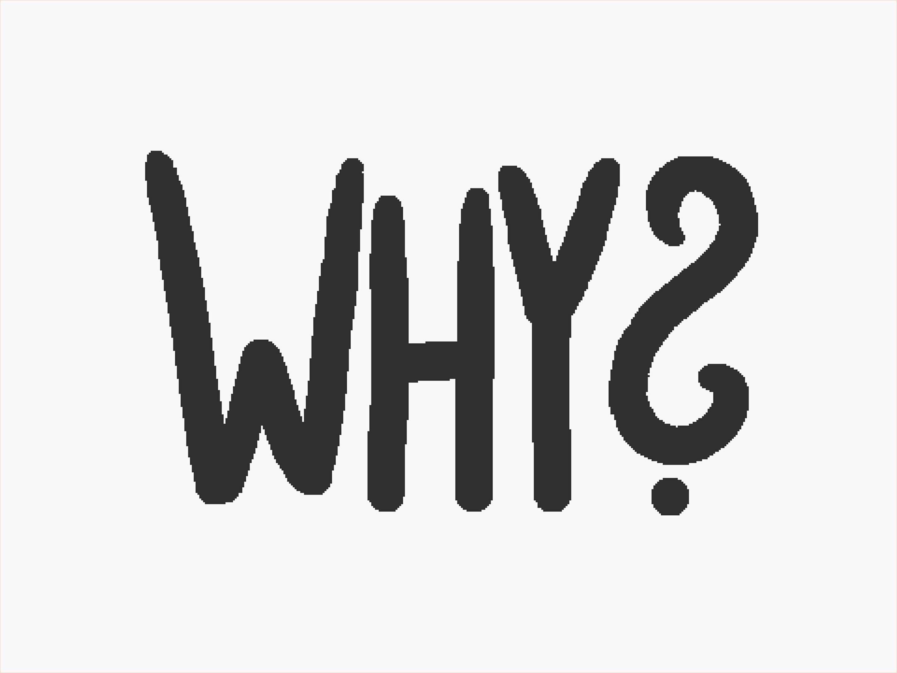 From 'The Why Fly
