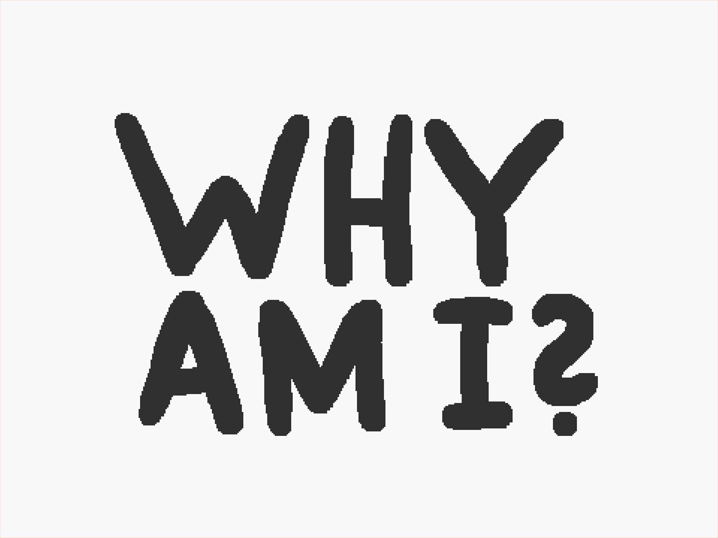 From 'The Why Fly