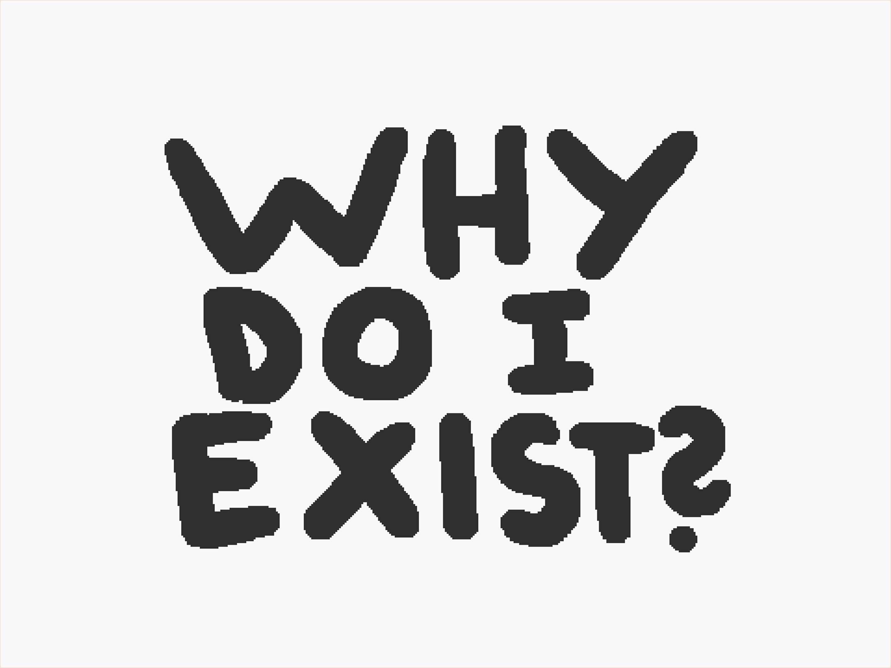 From 'The Why Fly