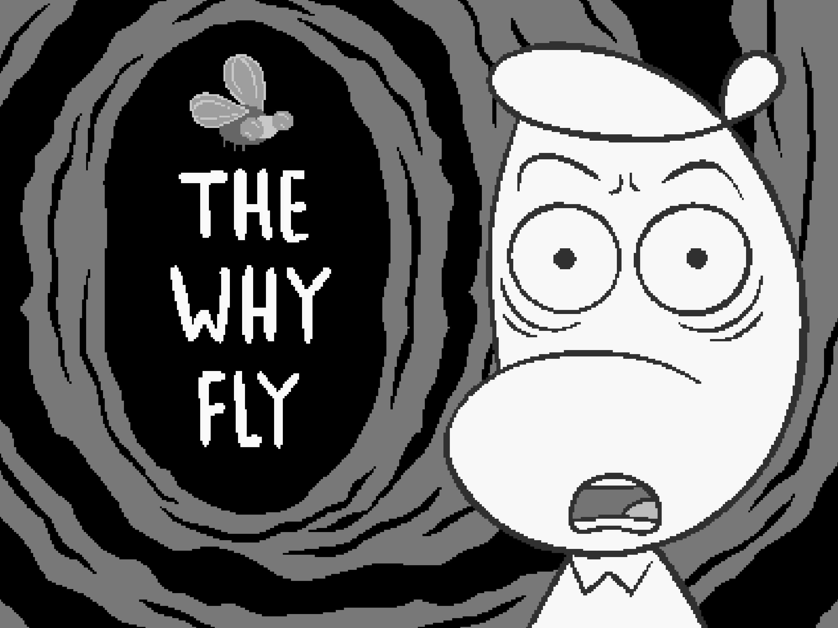 The Why Fly